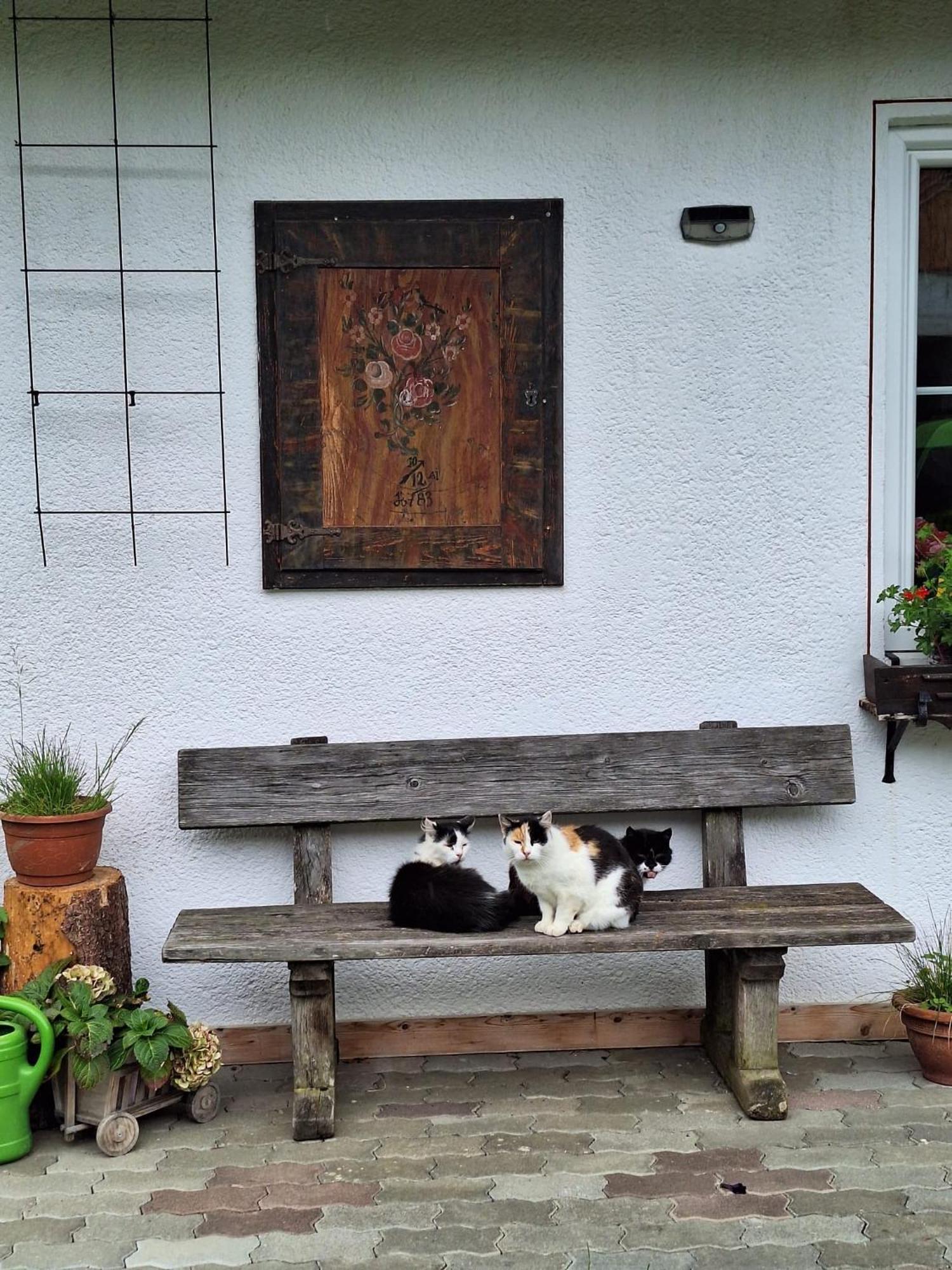Boabauer Appartement Tamsweg Buitenkant foto